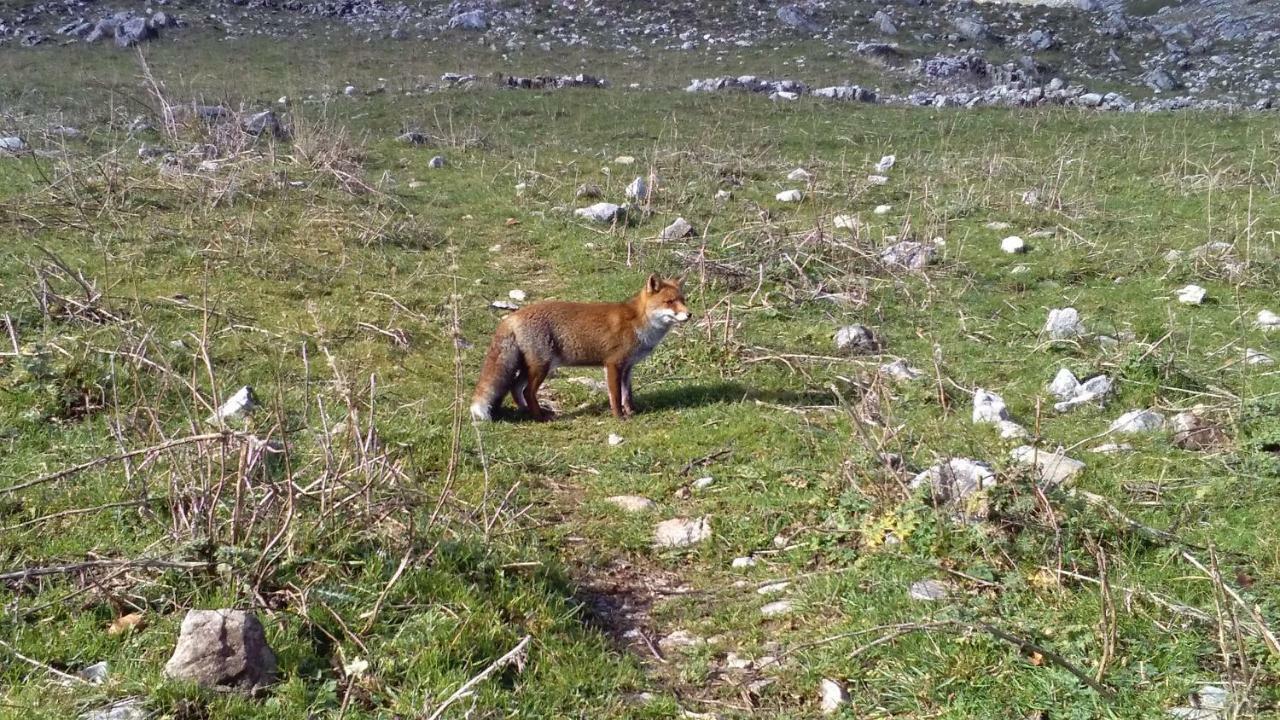 Natour L'Ostello Per I Camminatori Barisciano Εξωτερικό φωτογραφία